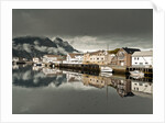 Village in Lofoten, Norway by Assaf Frank